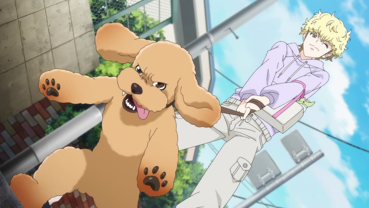 Download Dog Signal - Episódio 1 Online em PT-BR - Animes Online